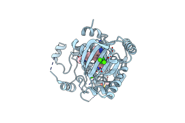 7XNC image