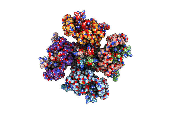 7XNN image