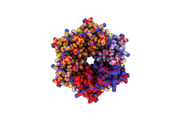 7XNV image
