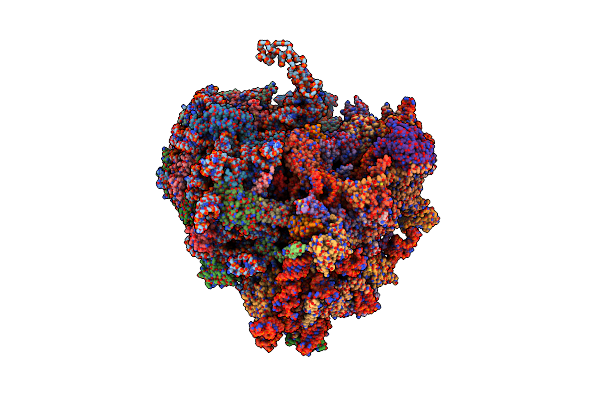 7XNX image