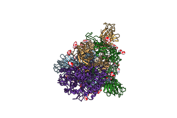 7XO5 image