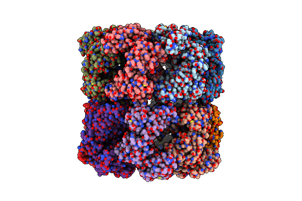 7XOJ image
