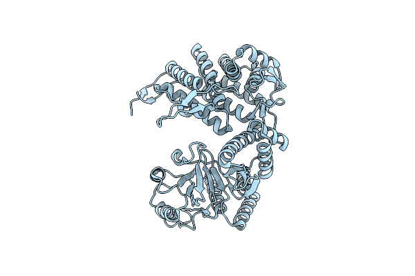 7XOP image