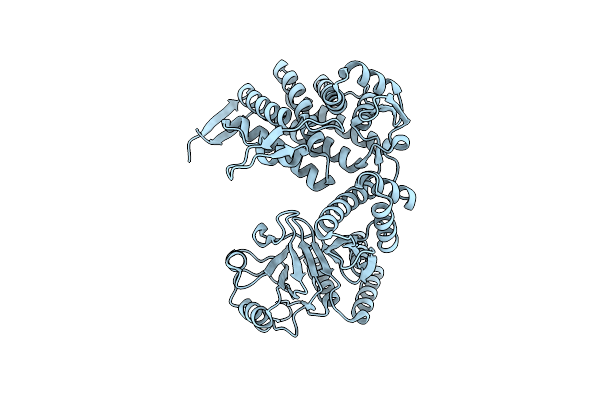 7XOR image