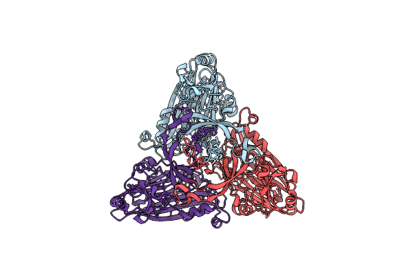 7XPD image