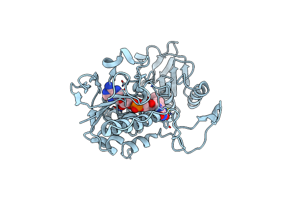 7XPI image