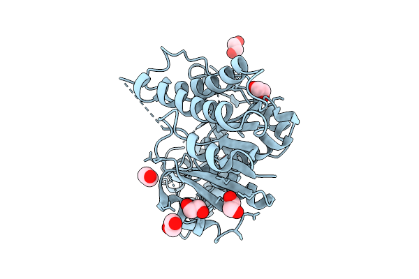 7XPM image