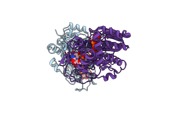 7XPQ image