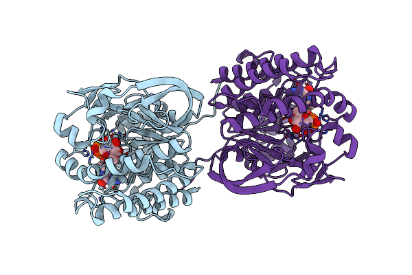7XPT image