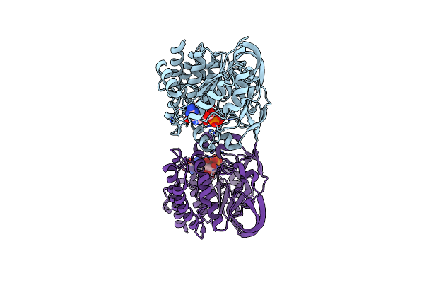 7XPV image