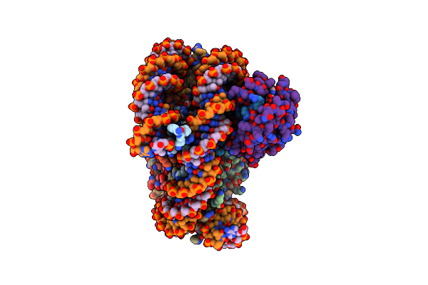 7XPX image