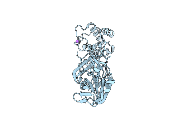 7XQ7 image