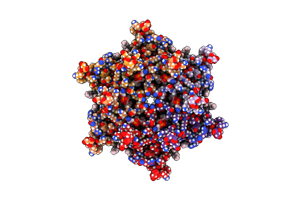 7XQF image
