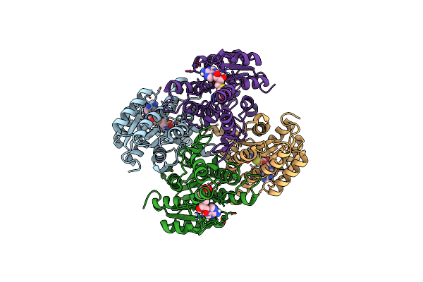 7XQM image