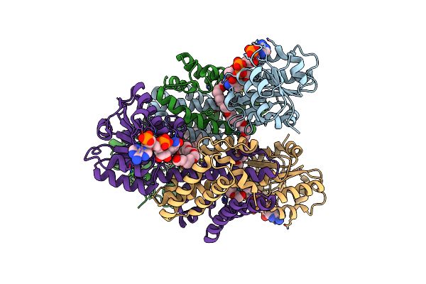 7XR5 image
