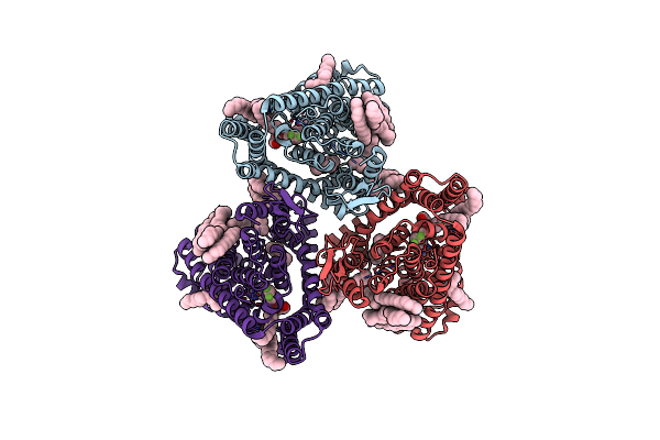 7XR6 image