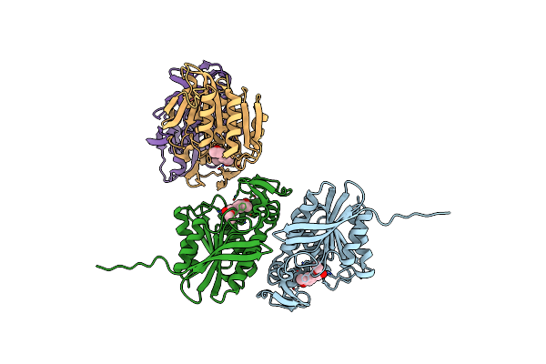 7XRI image