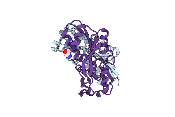 7XRO image
