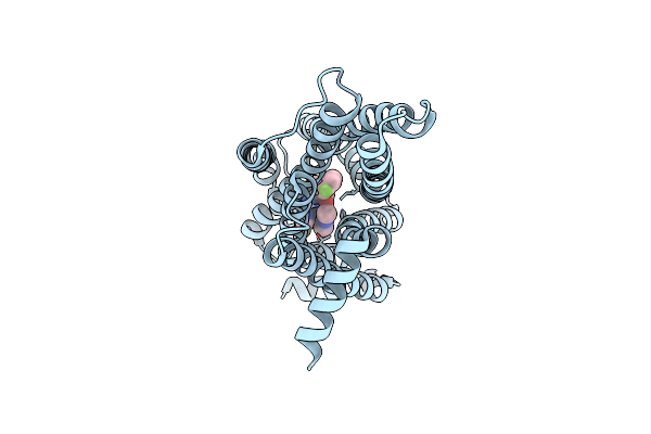 7XRR image