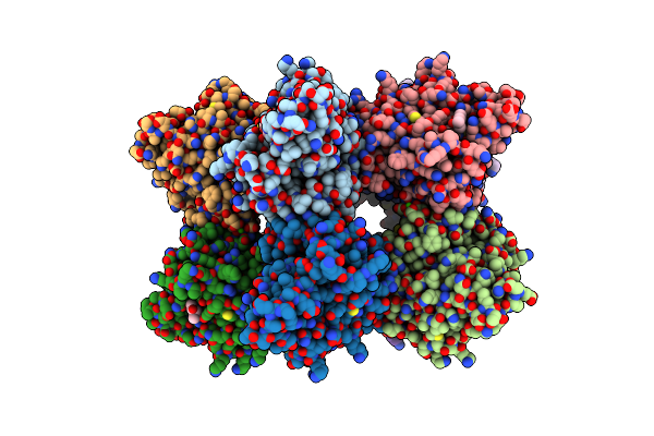 7XRT image