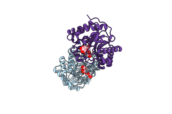 7XS3 image