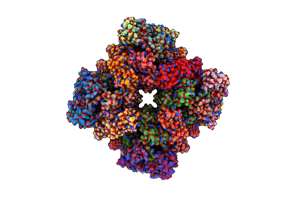 7XSD image