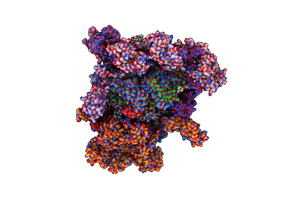 7XSE image