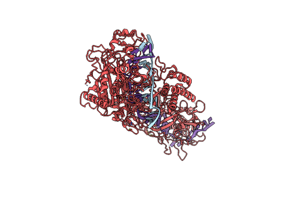 7XSP image
