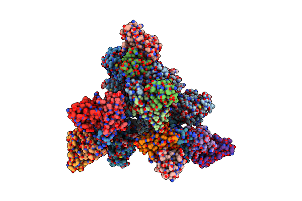 7XST image