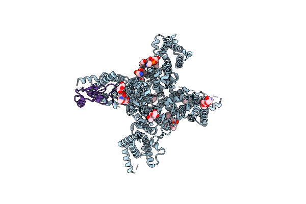 7XSU image
