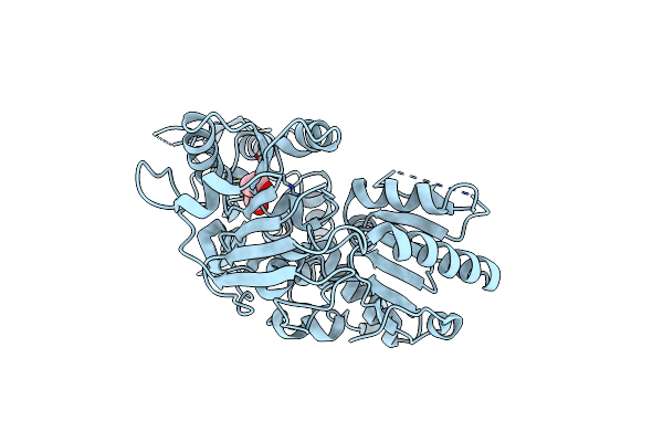 7XT0 image