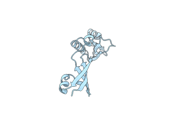 7XT1 image