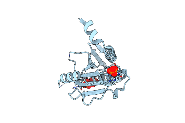 7XT3 image