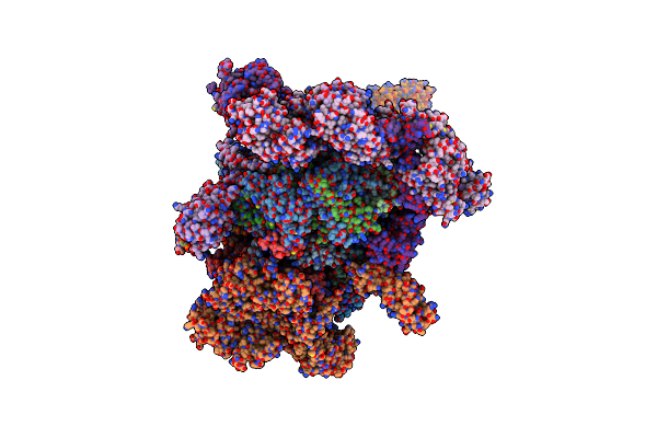 7XT7 image