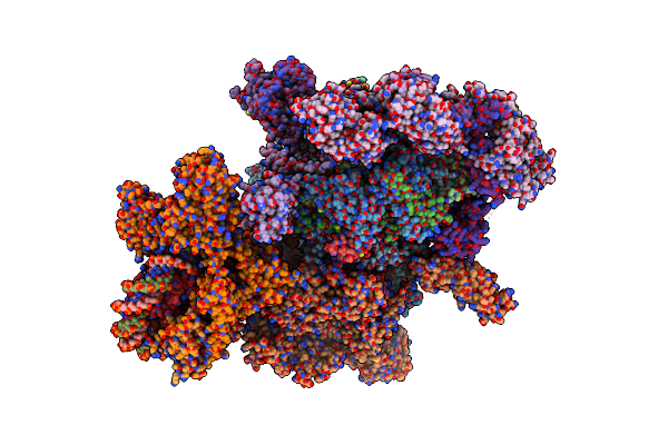 7XTD image