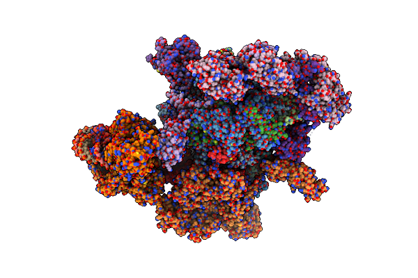 7XTI image