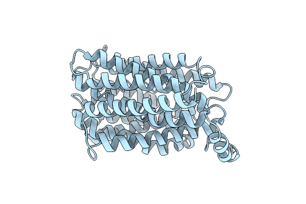 7XTK image