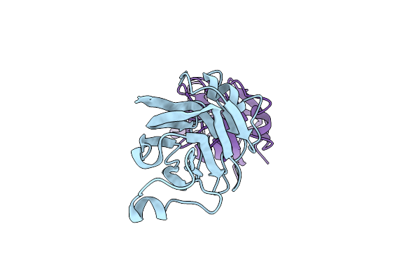 7XTL image