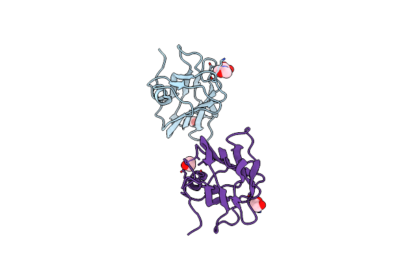 7XTM image