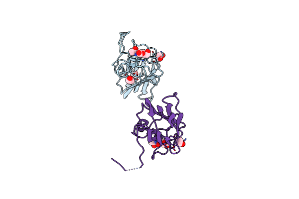 7XTN image