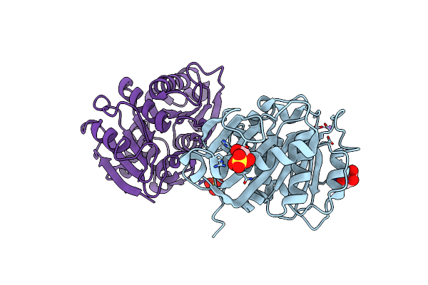 7XTR image