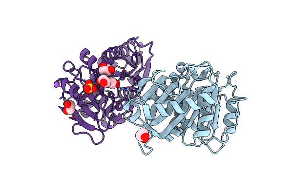 7XTT image