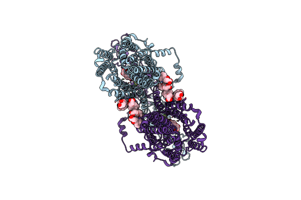 7XUH image