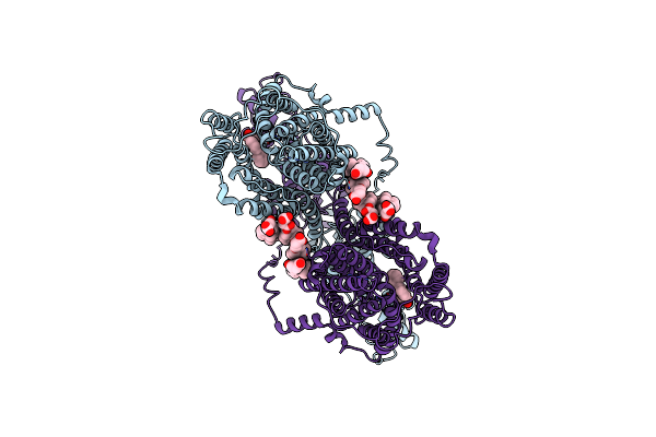 7XUJ image