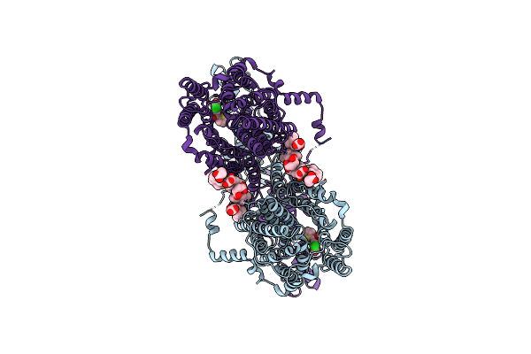 7XUL image