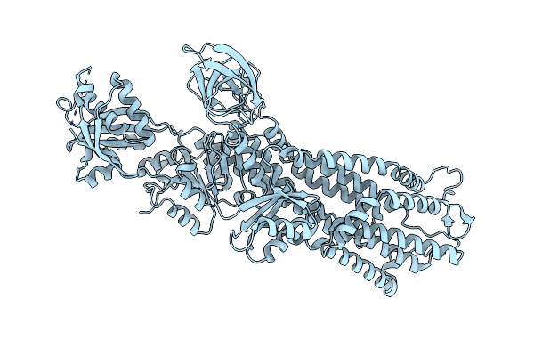 7XUM image