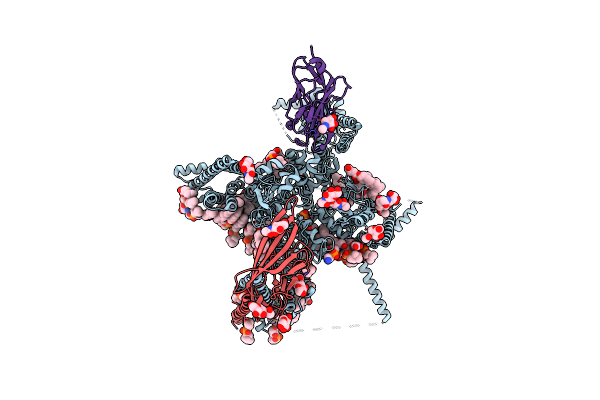 7XVF image