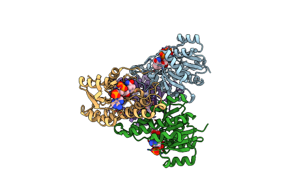 7XWJ image