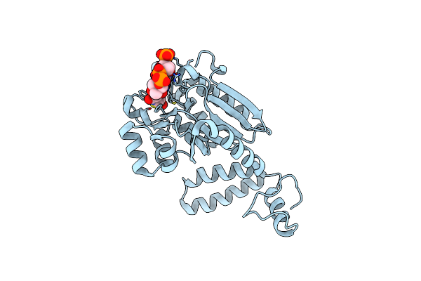 7XWT image