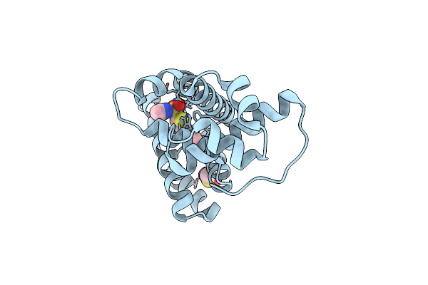 7XXT image